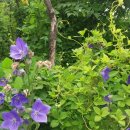 두루농장 이미지