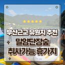 개단장 | 부산근교 계곡 휴가지 추천 취사가능한 밀양 단장숲 유원지 여름방문후기