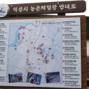 두동편백마을 | 익산 캠핑/피크닉 장소 두동편백마을숲을 찾아 떠나는 여행..(길잃음 주의)