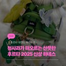 태강이네멍멍마켓 | 후르타 위캔드 하네스 2025 봄 신상 파슬리 컬러 리뷰