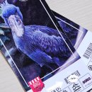 초양도 대관람차 | 경남 사천 아라마루 동물원 사천 아이 대관람차 회전목마 빅3 후기