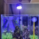 구라미농장 이미지