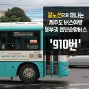 동부권 버스여행 &#39;910번&#39; 이미지