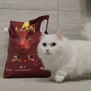 대용량 고양이 벤토 모래! 에스클래스브라운벤토나이트 후기