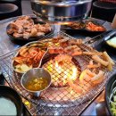 신세계꽃돼지 이미지