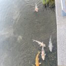 동빙고(근린공원) 이미지