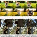 삼성비디오 이미지