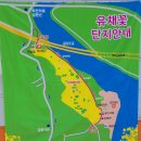 금암리 간이화장실 | 옥천 유채꽃축제 가는길부터 추천까지!!