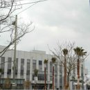 제주890 이미지