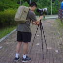 벤로 시티 200 카메라가방 가볍고 편한 DSLR 백팩 추천 후기