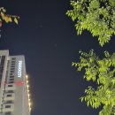 1010.그믐.영월 붉은 메밀꽃 이미지