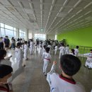 세종의 아침 태권도 이미지