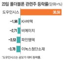 도우인시스