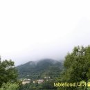 함양산양삼협회 영농조합법인 이미지