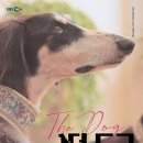 프라임 도그 네이버블로그