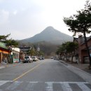 순창 메타세콰이어길 이미지