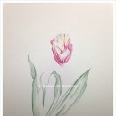 예쁜꽃그리기(보테니컬아트) 이미지