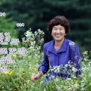 여시만들기 이미지