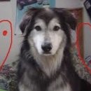 컴퓨터교실 이미지