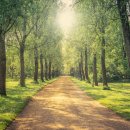 어울림소공원 이미지