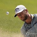 Green Colo 이미지