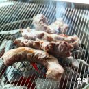 도니마니 이미지