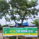 우주어린이집 | 에코그린 히어로캠프에서 피어난 마법, 버블타이거의 환경 버블매직쇼 이야기