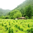 정비대장 이미지