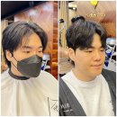 서현애견미용실 | 분당 서현역 미용실 헤어다이아 남자 가르마펌 리프컷 후기