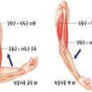 진해맥시멈스포츠아카데미 네이버블로그