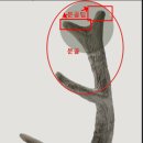 차서역침한의원 이미지