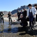 백두산 범 이미지