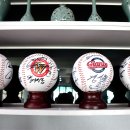 산에산에 오리주물럭 이미지