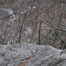 무곡농장 이미지