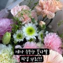 꽃블리안양범계역점 이미지