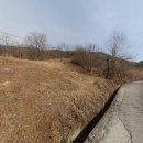 토담공인중개사사무소 이미지