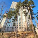 평택비전아이파크 101동 이미지