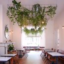 식물 인테리어 이미지