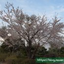 폴개네제주드림캠프 이미지