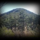 홍지주차장(광제산) 이미지