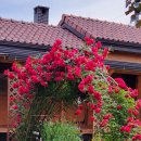 호수 정원 펜션 이미지