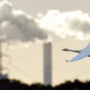 포토갤러리 이미지