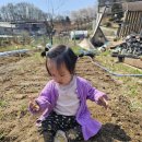 혜리농장 이미지