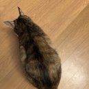 메가박스PC방 이미지