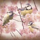 이미지편집기초 이미지