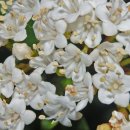 해피엔젤 이미지