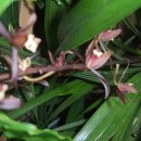 미림화원 이미지