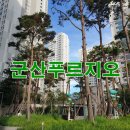 디오션 수 약국 이미지