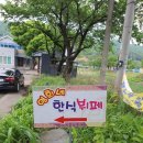 영희네 한식뷔페 이미지