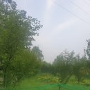 양정농장 이미지